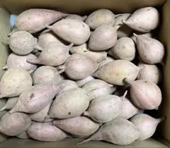 種子島産安納芋紅ホクホク系S 2Sサイズ5.2kg