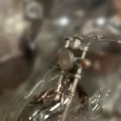 黒猫様 リクエスト 2点 まとめ商品