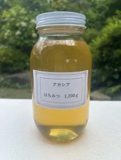 信州産 4月のはちみつ 1,200g ×1本 梅や桜など - メルカリ