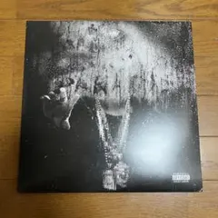 Big Sean Dark Sky Paradise レコード