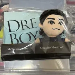 森本慎太郎　ドリボ　DREAM BOYS