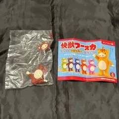 쾌수 부스카 다채로운 플로키 컬렉션 말론 브라운