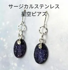 星々と繋がれる星空ピアス（金属アレルギー起きにくいサージカルステンレス）