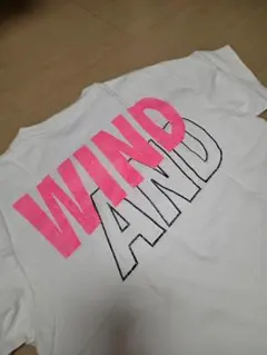 WIND AND SEA ロングスリーブTシャツ ミント 完売品 人気カラー - メルカリ