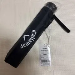 Item thumbnail for item 67d71ec8-d09f-4368-a7f0-c546c9e37ee7