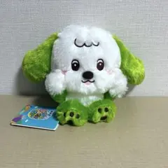 ワンワン　ぬいぐるみ　いないいないばぁっ！