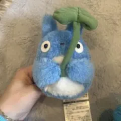 中トトロ　ぬいぐるみ