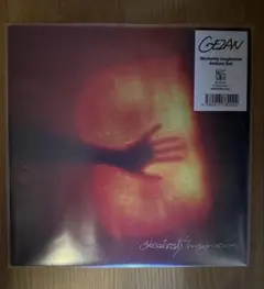 GEZAN 「Absolutely Imagination」7inch レコード - メルカリ