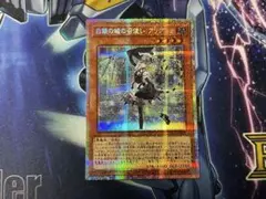 【r804-9】白銀の城の召使い ︎︎アリアンナ ︎︎プリシク ︎︎プリズマ