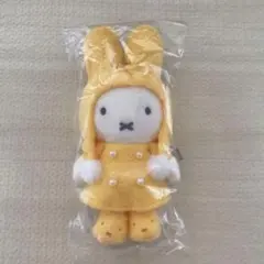 2025年最新】ミッフィーzakkaフェスタの人気アイテム - メルカリ