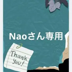 Naoさん専用