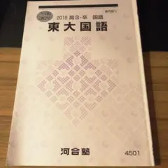 河合塾 冬期講習 東大国語 2018 高3・卒