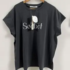 プリントロゴ 半袖Tシャツ　ルノンキュール　チャコール