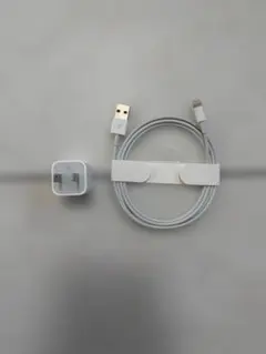 Apple純正 Lightningケーブル（1m） 5W充電器 セット
