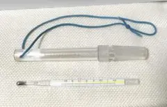 水銀体温計 昭和レトロ 2本セット - メルカリ
