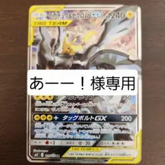 【あーー！様専用】ピカチュウ＆ゼクロムGX SR SM9 101/095