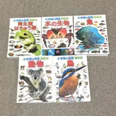 【定番5種】小学館の図鑑NEO 5冊セット