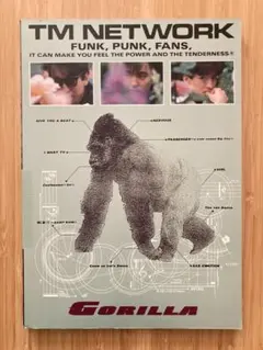 2025年最新】tmn バンドスコアの人気アイテム - メルカリ