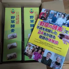 Item thumbnail for item b0d4334f-140e-4c9f-afdd-b7f757587415