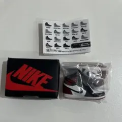 NIKE Air Jordan 1 ナイキ BLACK TOE ガチャ