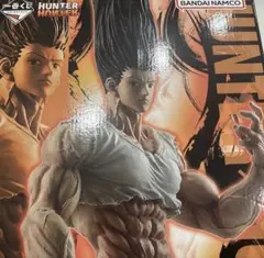 未開封 一番くじ HUNTER×HUNTER ラストワン賞　ゴン フィギュア