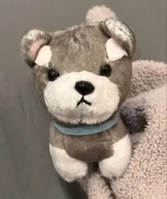 Item thumbnail for item 023881cf-9e19-4938-9a5d-e700223d070d