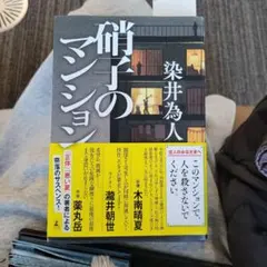 硝子のマンション 染井為人