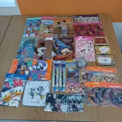 東京ディズニーリゾート　ストア　クリアファイル　タオル など　まとめ売り