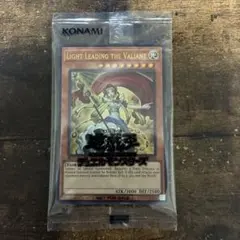 Light Leading the Valiant 日本選手権 プロモ - メルカリ