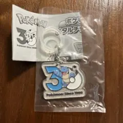 ポケモン 30周年 メタルチャームマスコット カメックス