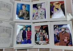 ときめきメモリアル プライズカード レア商品 スリーブ入10枚セット