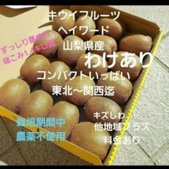 ❇️8キウイフルーツ　　わけあり　小玉　箱いっぱい　コンパクト　山梨県産