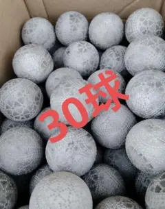 Item thumbnail for item 8a4bbdc1-93ee-4619-803d-35c6ad0cdc37