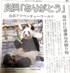 *ゆきこ*1229様 リクエスト 2点 まとめ商品