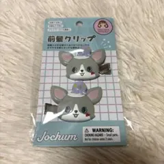 2025年最新】JOCHUM 前髪クリップの人気アイテム - メルカリ