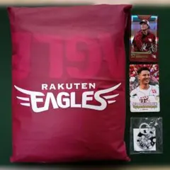 東北楽天ゴールデンイーグルス カッパ