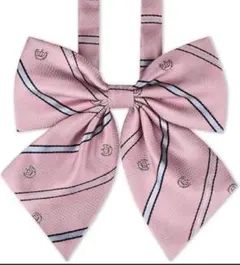 Item thumbnail for item 51ace204-d765-4241-bf75-716d30b36f5c