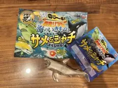 Item thumbnail for item c22847e0-c0cf-424a-834a-ab3ac060dbe5