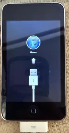 Apple iPod 30GB 本体 ジャンク品 - メルカリ