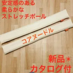 新品未開封【コアヌードル✴︎柔らかストレッチポール】姿勢腰痛改善✴︎肩甲骨リラックスのサムネイル