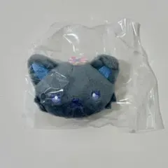 JOCHUM シークレットブローチ ピーハイ