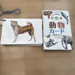 Item thumbnail for item 76d7eae2-ad83-426b-b924-06d6dac9b93b