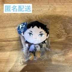 ハイキュー‼︎/フリューくじ/ぬいもっち