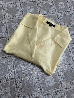 Item thumbnail for item 11dd7572-7cd0-41bb-aad6-33ce30e8f3a4