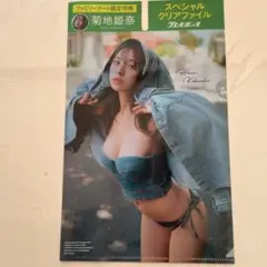 ★新品未使用★ファミリーマート限定 菊地姫奈 　スペシャルクリアファイル