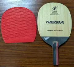 ニッタク　Nittaku　ネギア R-H＆スピンピップスD1 VICTAS