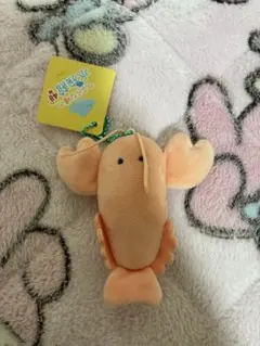 つぶらな瞳 水族館 ざりがに
