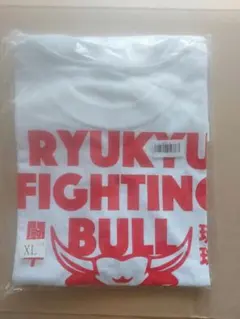 Item thumbnail for item 38979f33-d0ce-4191-ad50-d8c18f4f81df