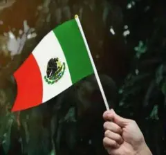 メキシコ国旗 バナー インテリア メキシカン ローライダー チカーノ 旗 飾り