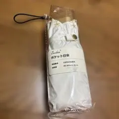 新品 ポケパークカントー限定 晴雨兼用折りたたみ傘 ブイブイ